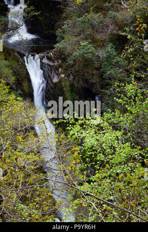 Devil's Bridge fällt - Rhaeadrau Pontarfybach, Ceredigion, Wales, Großbritannien Stockfoto