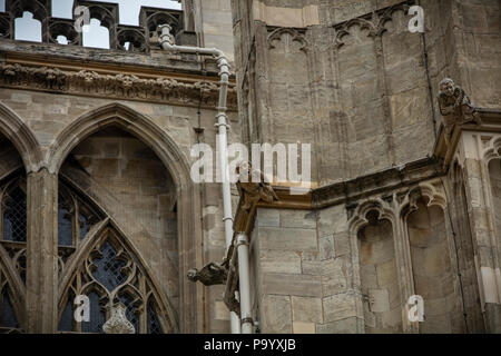 Wasserspeier Carved In Stone auf das York Minster Stockfoto