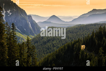 Tal im Mount Rainier NP Stockfoto