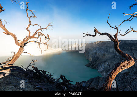 Tote Bäume und Rauch mit See auf Kawah Ijen vulkanischen, berühmte Reiseziel und touristische Attraktion in Indonesien Stockfoto