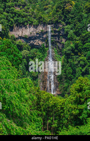 Kumano Kodo Pilgerweg. Trekking Nachi Wasserfall. Nachisan. Nakahechi Route. Präfektur Wakayama. Kii Halbinsel. UNESCO. Japan Stockfoto