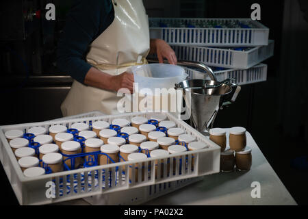 Herstellung von Joghurt in einer Farm, das hausgemachte Kuh Milch Joghurt, Frankreich Stockfoto