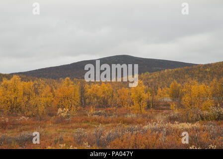 Fiel in Enontekiö, Lappland, Finnland Stockfoto