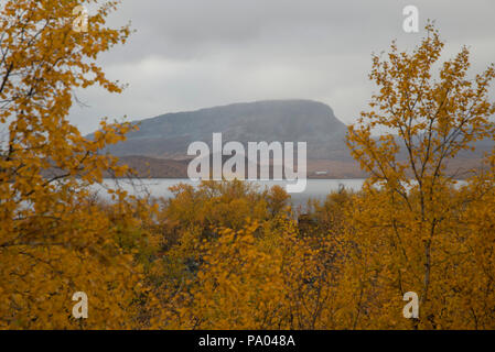 Saana fiel in Enontekiö, Lappland, Finnland Stockfoto