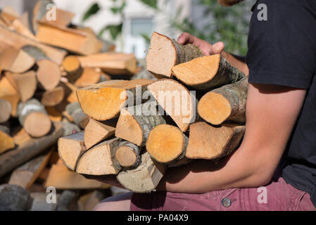 Ein Haufen gestapelt, Brennholz, für die Heizung des Hauses vorbereitet. Sammeln von Brennholz für den Winter oder Lagerfeuer. Mann hält das Brennholz in der Hand Stockfoto