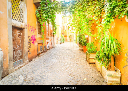 Blick auf die Altstadt italienische Gasse mit grünen Pflanzen in Trastevere, Rom, Italien, getönt Stockfoto