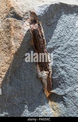 Blast Bohrung - Bushiribana Goldmine - eine nationale historische kulturelle Ort, Aruba, Karibik Stockfoto