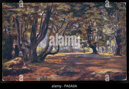 624 Epping Forest, buchen. (NBY) 440424 Stockfoto