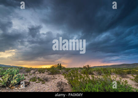 Stürmischen Himmel im Big Bend National Park in Texas Stockfoto
