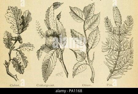 685 G. Bruno - Le Tour de la France par Deux enfants p 119 b Stockfoto