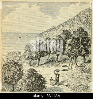 685 G. Bruno - Le Tour de la France par Deux enfants p194 Stockfoto