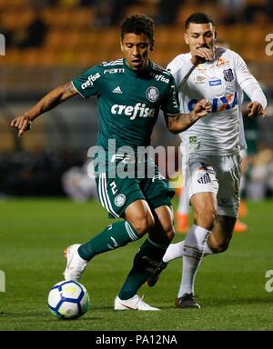 SÃO PAULO, SP - 19.07.2018: SANTOS X PALMEIRAS - Marcos Rocha während des Spiels zwischen Santos und Palmeiras im Pacaembu-stadion, West Zone von São Paulo statt. Das gleiche gilt für die 13. Runde der brasilianischen Meisterschaft 2018. (Foto: Marco Galvão/Fotoarena) Stockfoto