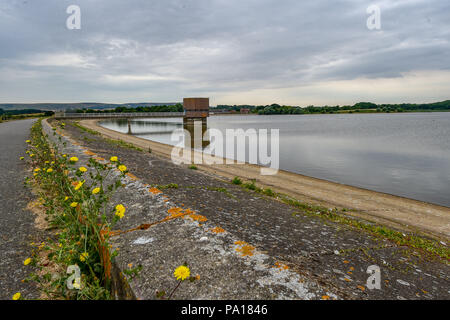 Arlington East Sussex UK 20 . Juli 2018 - ein bedeckter Tag am Arlington Reservoir bei Eastbourne in East Sussex , wo der Wasserstand trotz der Dürre in ganz Großbritannien recht gut ist . Das South East Water Reservoir ist ein bekannter Schönheitsort, der bei Wanderer und Vogelbeobachtern beliebt ist. Credit: Simon Dack/Alamy Live News Stockfoto