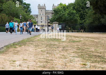 Windsor, Großbritannien. 20. Juli 2018. Vergilbten Gras neben dem langen Spaziergang vor Windsor Castle folgenden längste Hitzewelle in Großbritannien seit mehr als vierzig Jahren. Das Gras um Windsor Castle war eine üppige grüne zum Zeitpunkt der Hochzeit des Herzogs und der Herzogin von Sussex im Mai. Credit: Mark Kerrison/Alamy leben Nachrichten Stockfoto