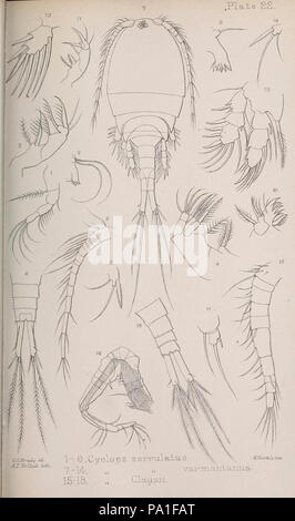Eine Monographie von der freien und semi-parasitären Copepoda der britischen Inseln (Platte XXII) Stockfoto