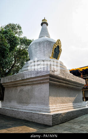 Große, weiße - Stupa und Bodhi Baum im ersten Hof Punakha Dzong, Bhutan - punakha Dzong, auch als Pungtang Dechen Photrang Dz bekannt gewaschen Stockfoto