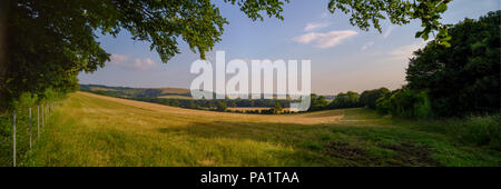 Sommer Blick von St James die evangelische Kirche, West Meon im Meon Valley in der South Downs National Park, Hampshire, Großbritannien Stockfoto