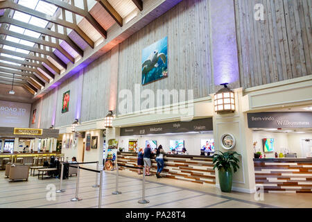 Orlando Florida, Doubletree by Hilton Orlando SeaWorld, Hotel, Grundstück, Lobby, Reservierungen an der Rezeption, Inneneinrichtung, FL171029128 Stockfoto