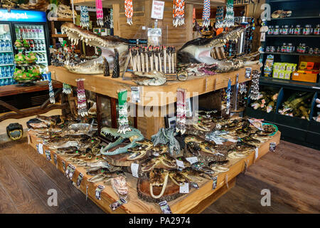 Florida, Kenansville, Orlando, Wild Florida Airboats & Gator Park, Shopping Shopper Shopper Shopper Shop Shops Markt Märkte Marktplatz Kauf Verkauf, Einzelhandel Stockfoto