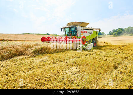 A combine harvester harvests corn in Pfaffenhofen a.d.Ilm, Germany July 20, 2018. © Peter Schatz / Alamy Live News Stockfoto