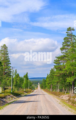 Lange gerade Straße im Wald Stockfoto