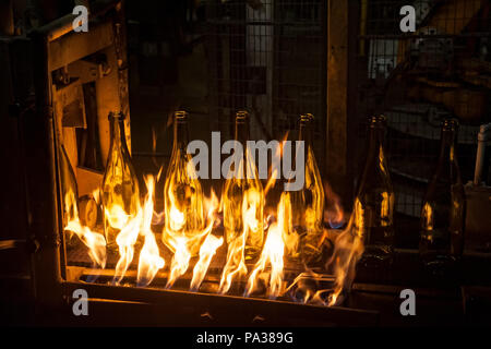 Automatisierten Fertigungslinie für die Herstellung von Glasbehältern. Die Flaschen werden auf einem beweglichen Förderband setzen Stockfoto