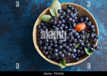 Schüssel mit frisch gepflückten homegrown Aronia Beeren. Aronia, allgemein bekannt als die Aronia, mit Blättern Stockfoto