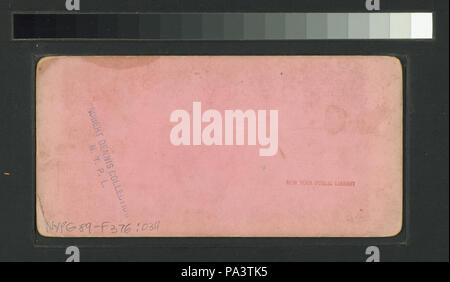 245 Bridal Veil Fall; Anmutigsten im Tal (Nypl b 11707300 - G89 F 376 034 B) Stockfoto