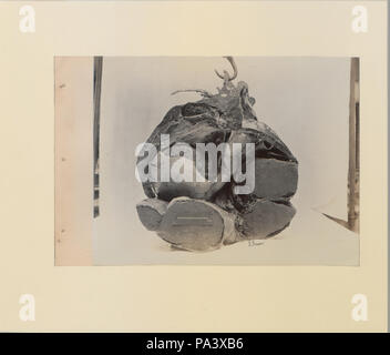 88 eine Reihe von Fotografien, die die Anatomie von Pferd und Hund nach der Methode der gefrorener Zubereitungen und Abschnitte erstellt von S Sisson von Toronto (HS 85-10 -9846-8) Original Stockfoto