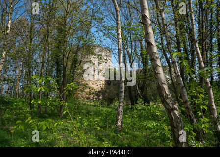 Ruinen der Burg Feuerstein durch Bäume an einem sonnigen Frühlingstag gesehen. Eine aus dem 13. Jahrhundert stammenden Schloss neben dem Fluss Dee. Stockfoto