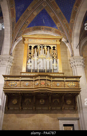 Die Kathedrale von San Martino in Lucca in der Toskana Italien Stockfoto