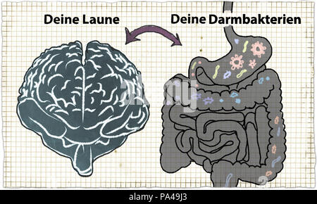 Darm Gesundheit, Darmflora und Darmbakterien illustriert in deutscher Sprache und in klassischem Stil mit rustikalen auf Papier und Bleistifte. Stockfoto
