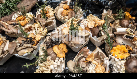 Körbchen gemischte Pilze und Kräuter zum Verkauf bereit in Borough Market, London's berühmten und historischen Lebensmittelmarkt in Southwark. Stockfoto