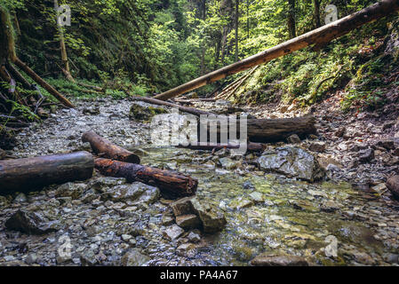 Sucha Bela touristische Weg in kleinen Canyon im Slowakischen Paradies Nationalpark, nördlichen Teil der Slowakischen Erzgebirge in der Slowakei Stockfoto