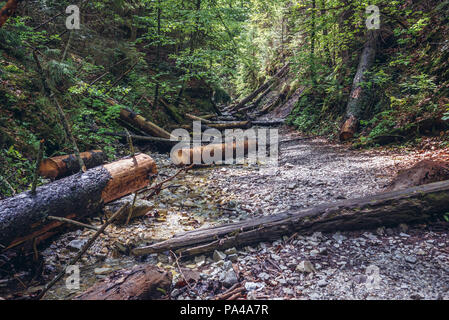 Sucha Bela touristische Weg in kleinen Canyon im Slowakischen Paradies Nationalpark, nördlichen Teil der Slowakischen Erzgebirge in der Slowakei Stockfoto