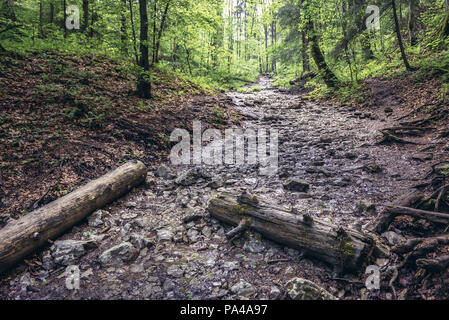 Sucha Bela Canyon im Slowakischen Paradies Nationalpark, nördlichen Teil der Slowakischen Erzgebirge in der Slowakei Stockfoto