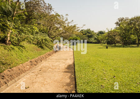 Eine wunderschöne Stadt Grün frisch gemähten Park mit bunten Blumen und Bäume für Familienfeiern, Sport, Picknicks geeignet. Stockfoto