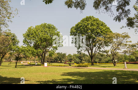 Eine wunderschöne Stadt Grün frisch gemähten Park mit bunten Blumen und Bäume für Familienfeiern, Sport, Picknicks geeignet. Stockfoto