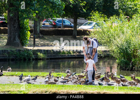 Eine Mutter und eine Tochter die Fütterung der Vögel in einem Park in Newquay Cornwall. Stockfoto