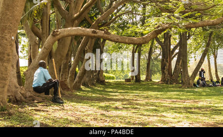 Eine wunderschöne Stadt Grün frisch gemähten Park mit Blumen und Bäumen für Familienfeiern, Sport, Picknicks geeignet. Stockfoto