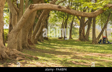 Eine wunderschöne Stadt Grün frisch gemähten Park mit Blumen und Bäumen für Familienfeiern, Sport, Picknicks geeignet. Stockfoto