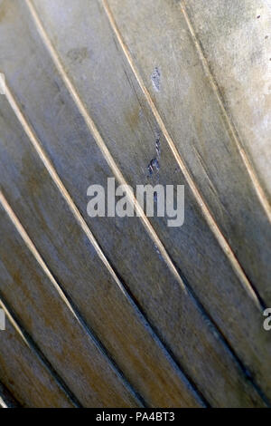 Detail einer alten hölzernen Boot Rumpf Stockfoto