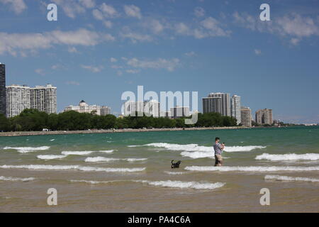 Menschen und Hunde erfreuen sich an Chicagos Montrose Avenue Hund Strand im hellen Sommer Sonne. Stockfoto