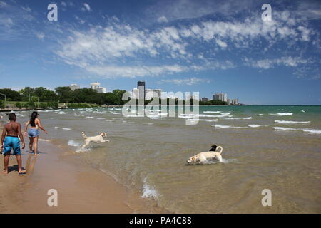 Menschen und Hunde erfreuen sich an Chicagos Montrose Avenue Hund Strand im hellen Sommer Sonne. Stockfoto