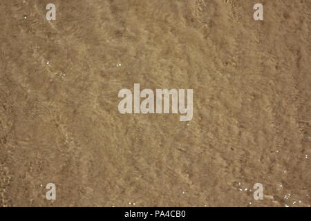 Sand in den Wellen des Chicago Montrose Avenue Dog Beach zu einer lustigen Sommertag in Michigan See treiben. Stockfoto