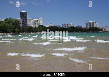 Chicagos Montrose Avenue Dog Beach zu einer lustigen Sommertag. Stockfoto