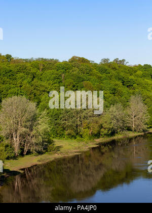 Verschiedene Arten von Laubbäumen wächst am Ufer eines Sees mit schmutzigem Wasser, Frühling Natur Stockfoto