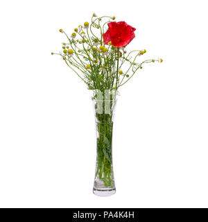 Blumenstrauß aus Feld Gänseblümchen und Roter Mohn in einem transparenten Vase auf weißem Hintergrund Stockfoto