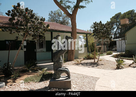 Eine Statue, die die ikonische Bild der erste Premierminister Israels, David Ben Gurion, handstand an der Verbindung von David Ben Gurion Hauses, war der primäre Gründer des Staates Israel im Kibbuz Sde Boker in der Wüste Negev Stockfoto