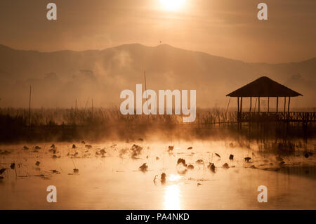 Sonnenaufgang mit Nebel über ein Dorf auf dem Inle-see in Myanmar (Birma) Stockfoto